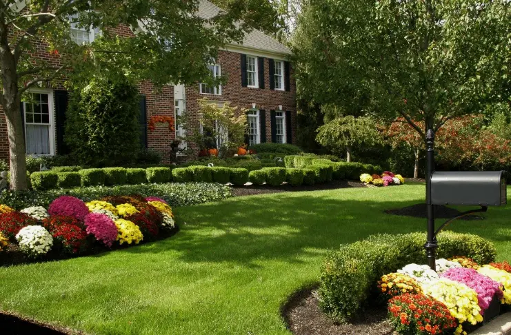 تصميم حدائق حولي بالكويت